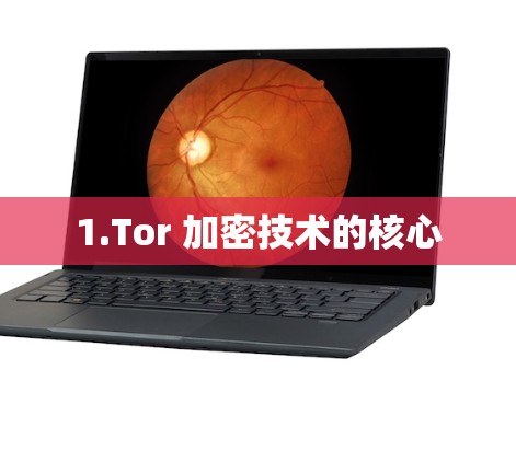 1.Tor 加密技术的核心