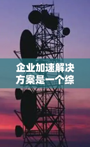 企业加速解决方案是一个综合性的策略，旨在通过优化技术、数据管理和自动化来提升效率，降低成本并增强竞争力。以下是对该解决方案的详细分析和优化建议