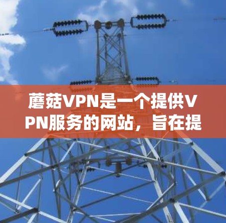 蘑菇VPN是一个提供VPN服务的网站，旨在提供安全、可靠的网络连接。以下是一个详细而系统地指南，帮助您逐步学习如何使用蘑菇VPN