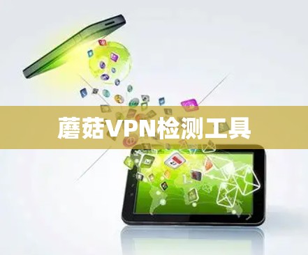 蘑菇VPN检测工具