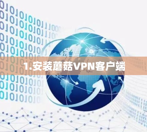 1.安装蘑菇VPN客户端