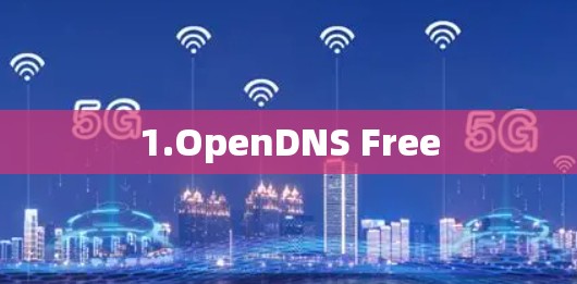 1.OpenDNS Free