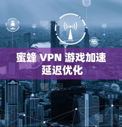 蜜蜂 VPN 游戏加速 延迟优化