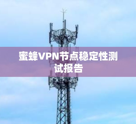 蜜蜂VPN节点稳定性测试报告