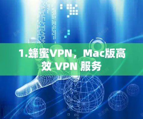 1.蜂蜜VPN，Mac版高效 VPN 服务
