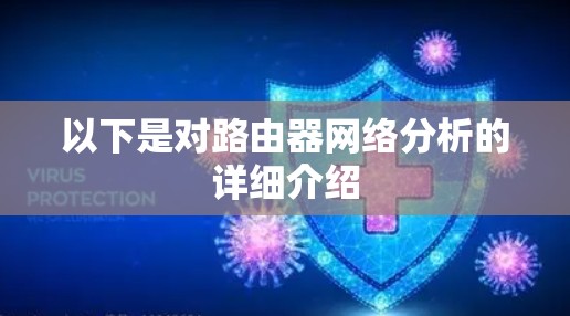 以下是对路由器网络分析的详细介绍
