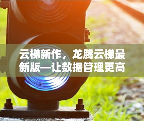 云梯新作，龙腾云梯最新版—让数据管理更高效
