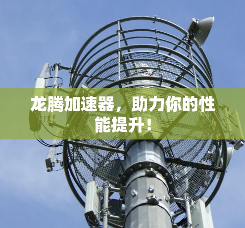 龙腾加速器，助力你的性能提升！