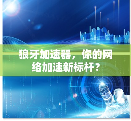 狼牙加速器，你的网络加速新标杆？