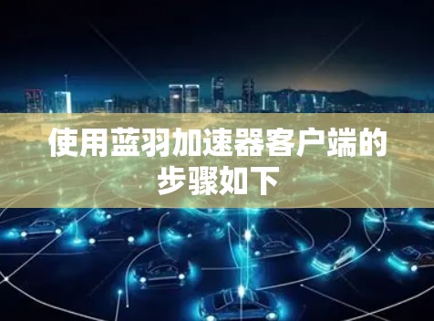 使用蓝羽加速器客户端的步骤如下