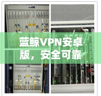 蓝鲸VPN安卓版，安全可靠，轻松连接手机