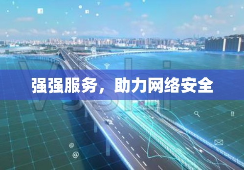 强强服务，助力网络安全