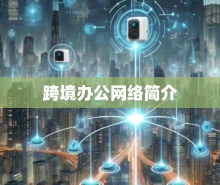 跨境办公网络简介