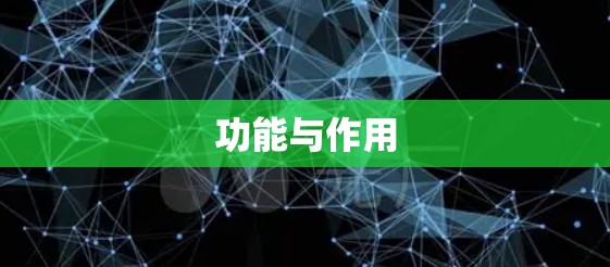 功能与作用