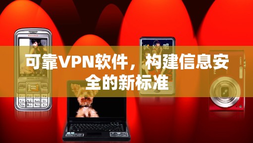 可靠VPN软件，构建信息安全的新标准